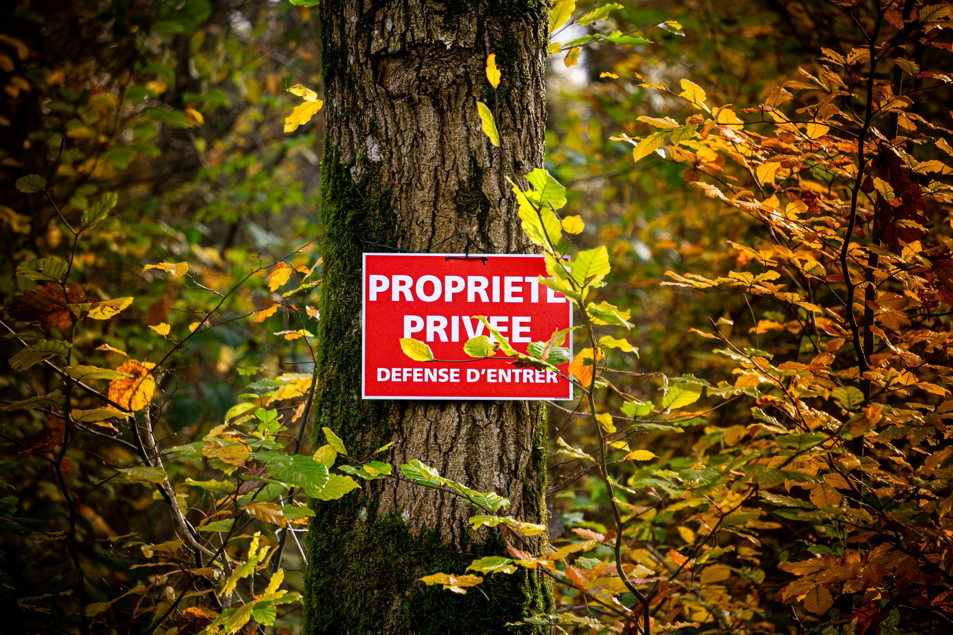 Détective privé à Saint-Nazaire
